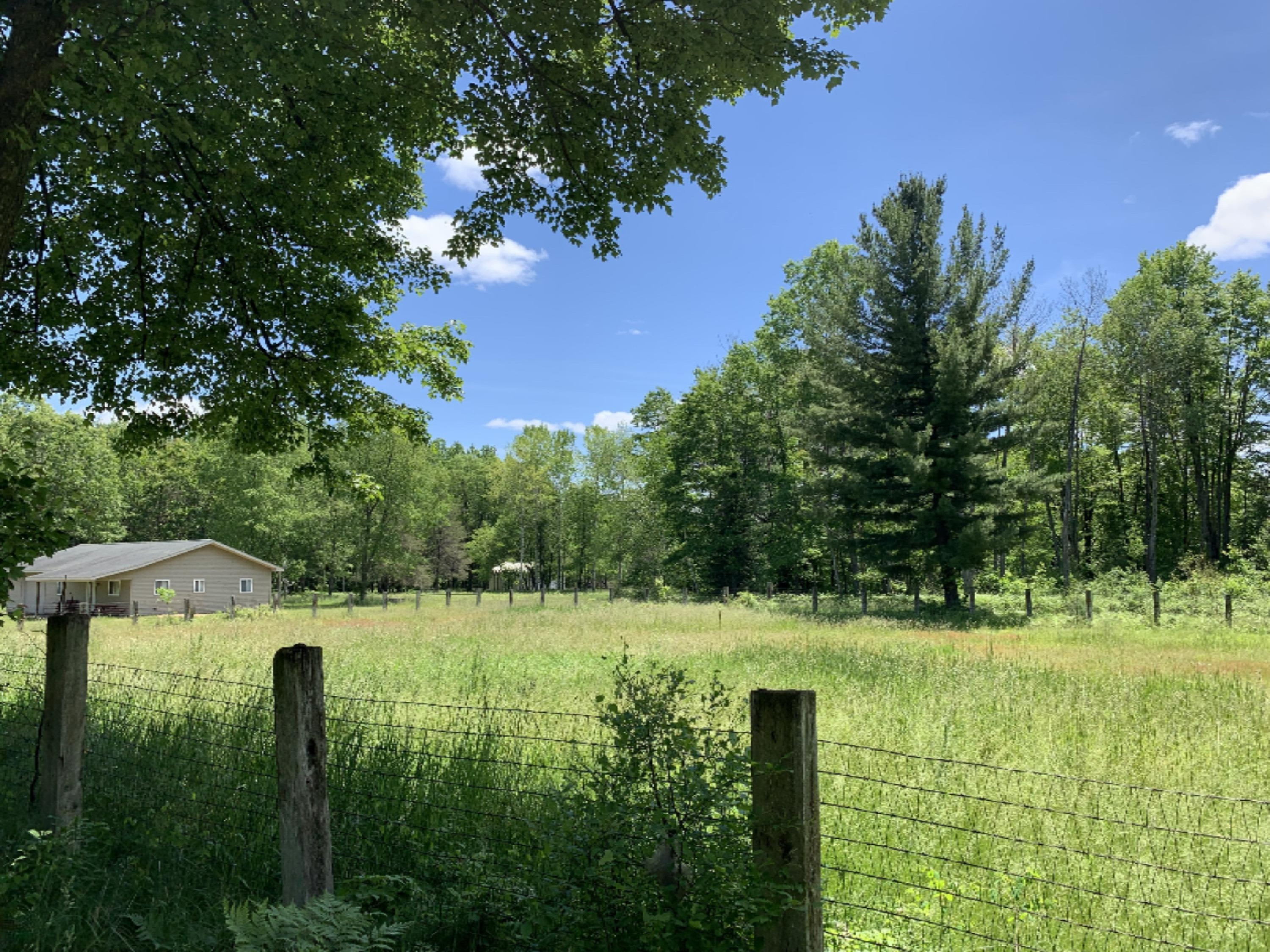 11320 Clam River Road Marion, MI 49665 - Photo 20 of 32 IMG_3710
