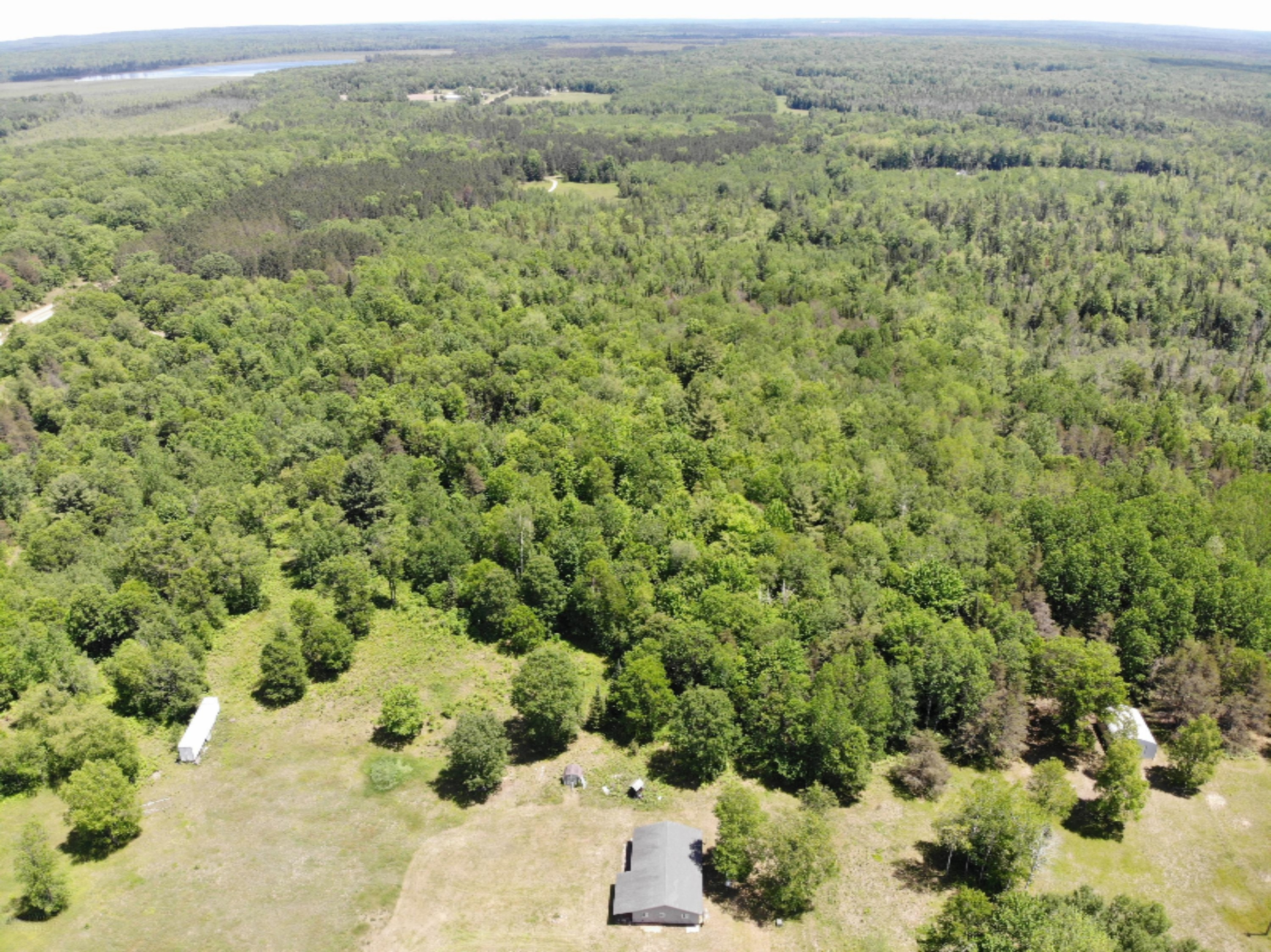 11320 Clam River Road Marion, MI 49665 - Photo 8 of 32 DJI_0949