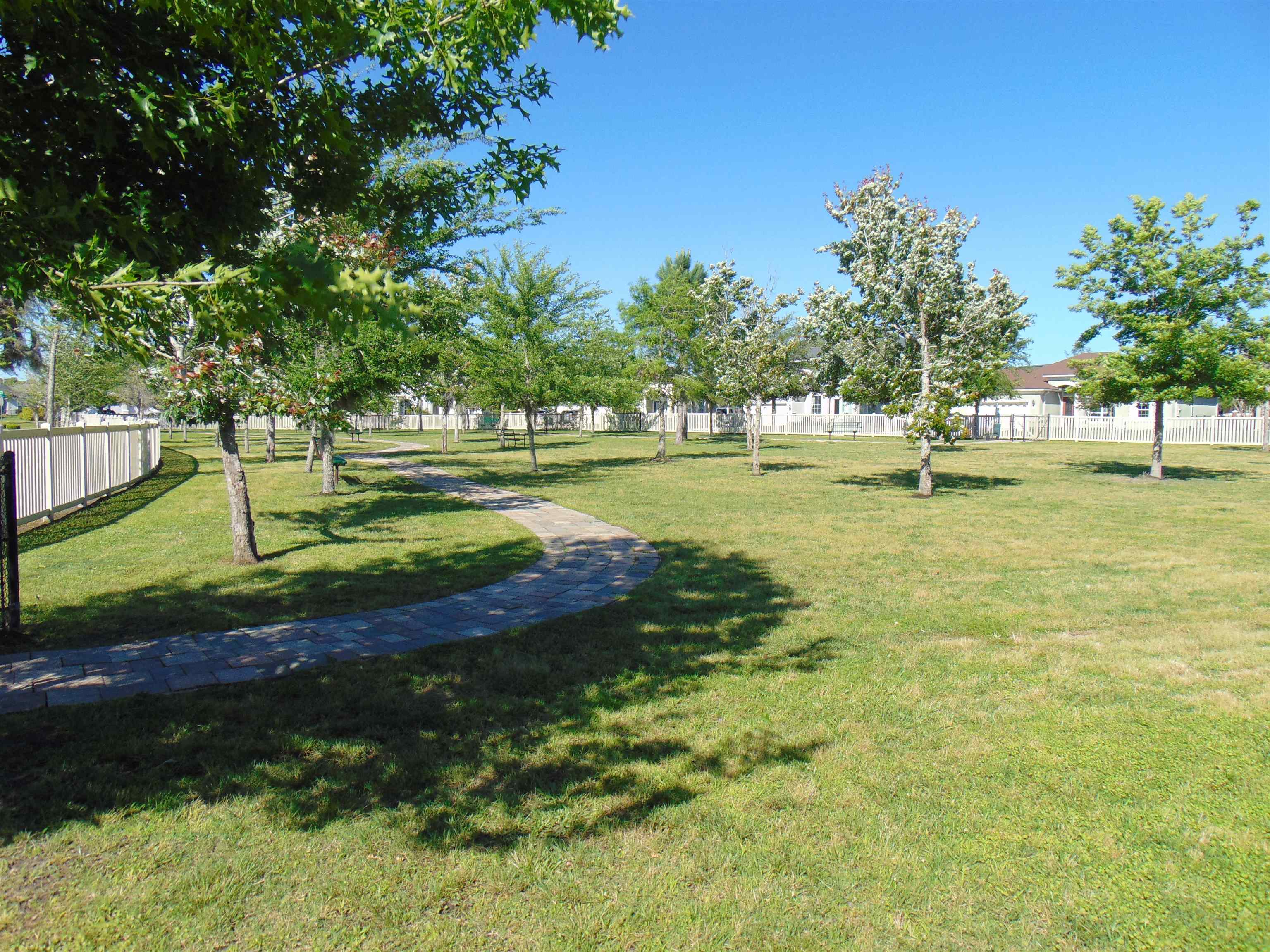 331 Athens Drive St. Augustine, FL 32092 - Photo 21 of 24 a swimming pool with lots of tress in front of it