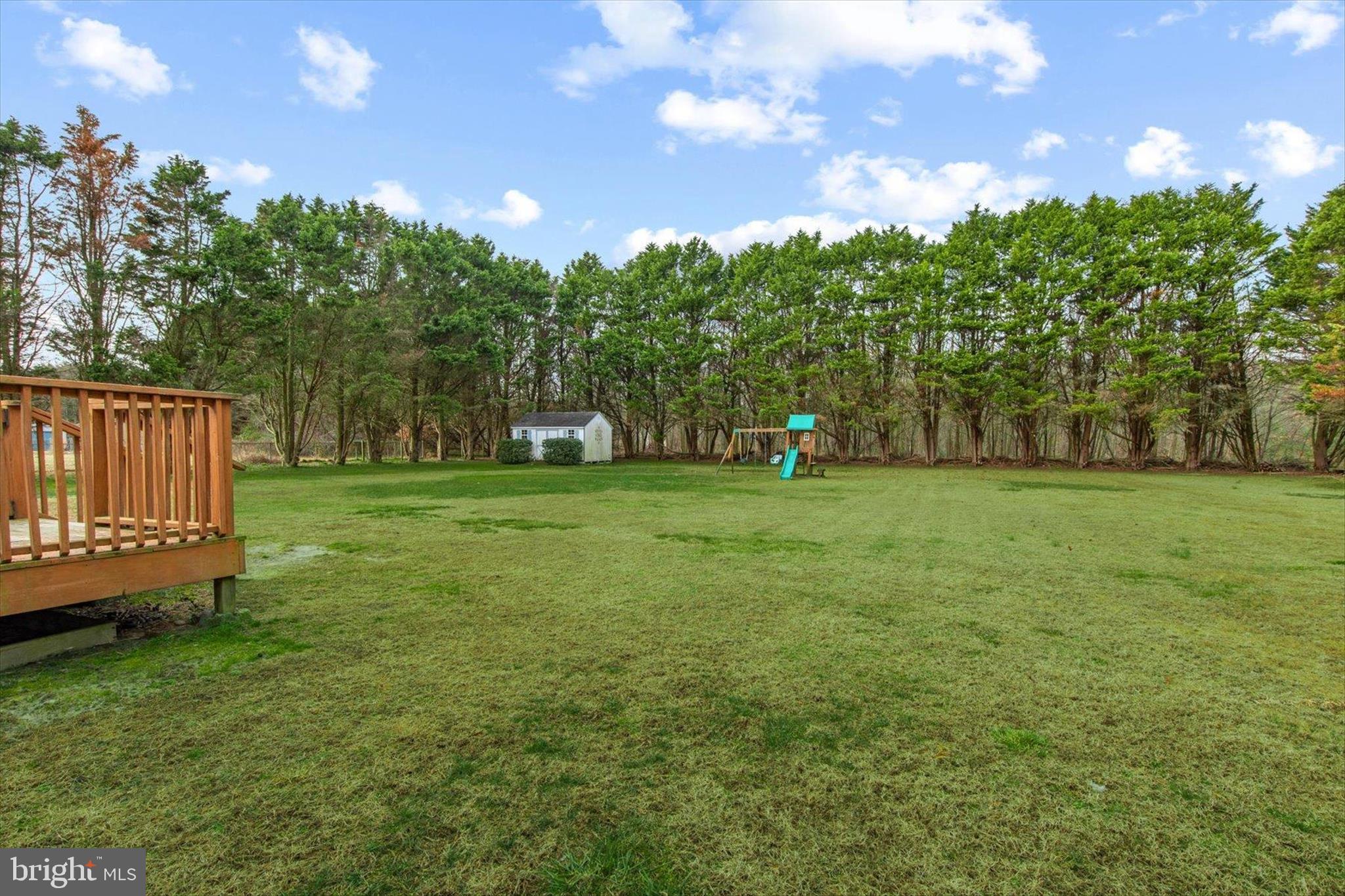 24618 Peterkins Road Georgetown, DE 19947 - Photo 7 of 47 a view of a trees with a big yard