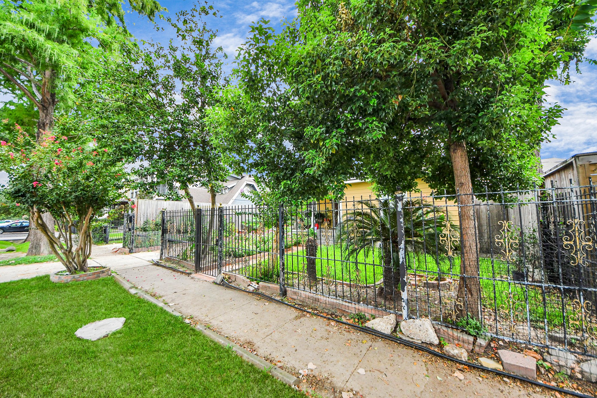729 East 9th Street Houston, TX 77007 - Photo 9 of 35 a view of a yard with plants and trees