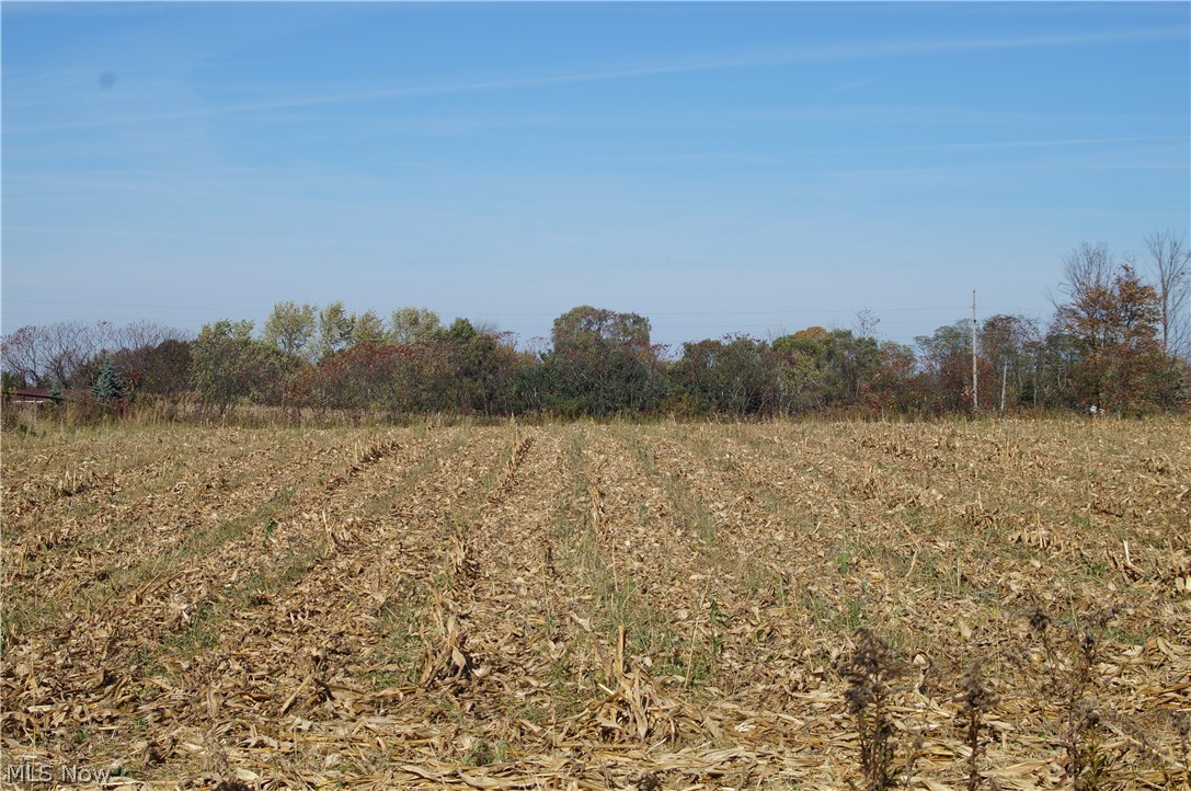 V/l Limeridge Road Mantua, OH 44255 - Photo 3 of 4 Gallery Image 3