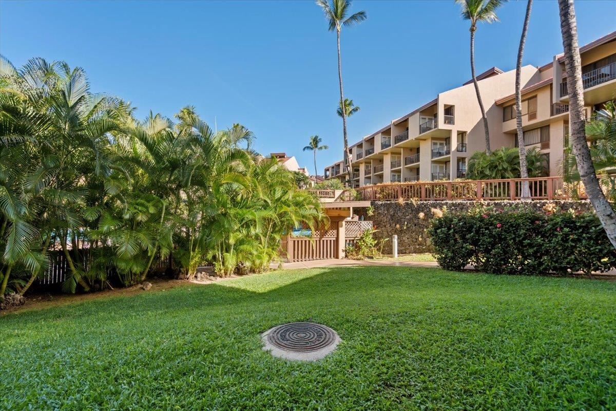 2695 South Kihei Road, Unit 6109 Kihei, HI 96753 - Photo 19 of 49 a view of a big room with potted plants and a big yard