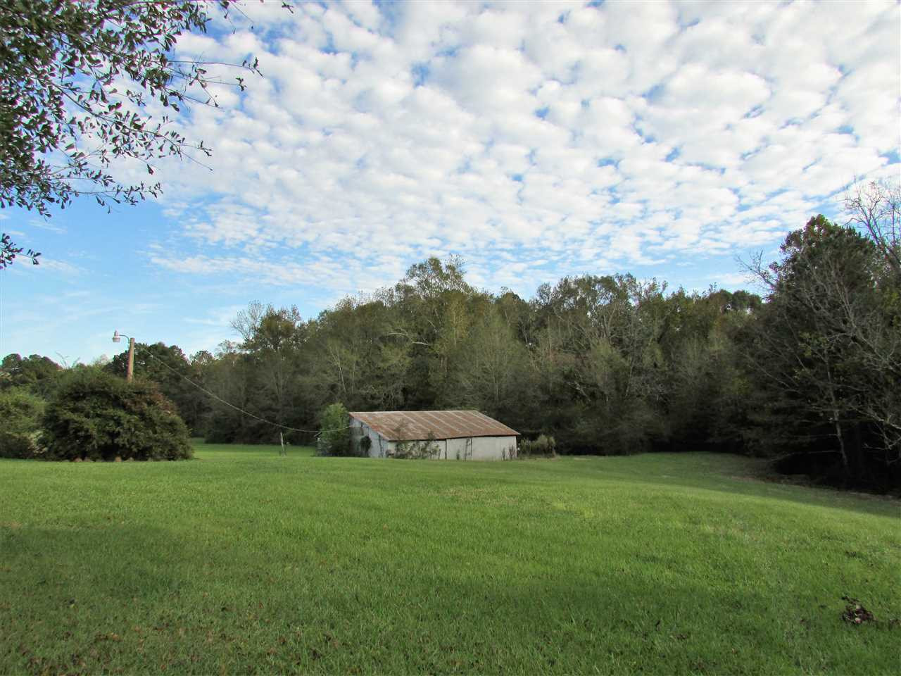 2120 Gatesville Road Crystal Springs, MS 39059 - Photo 12 of 43 Photo 12