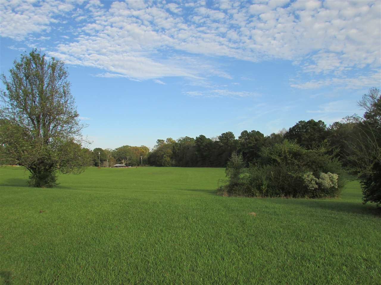 2120 Gatesville Road Crystal Springs, MS 39059 - Photo 13 of 43 Photo 13