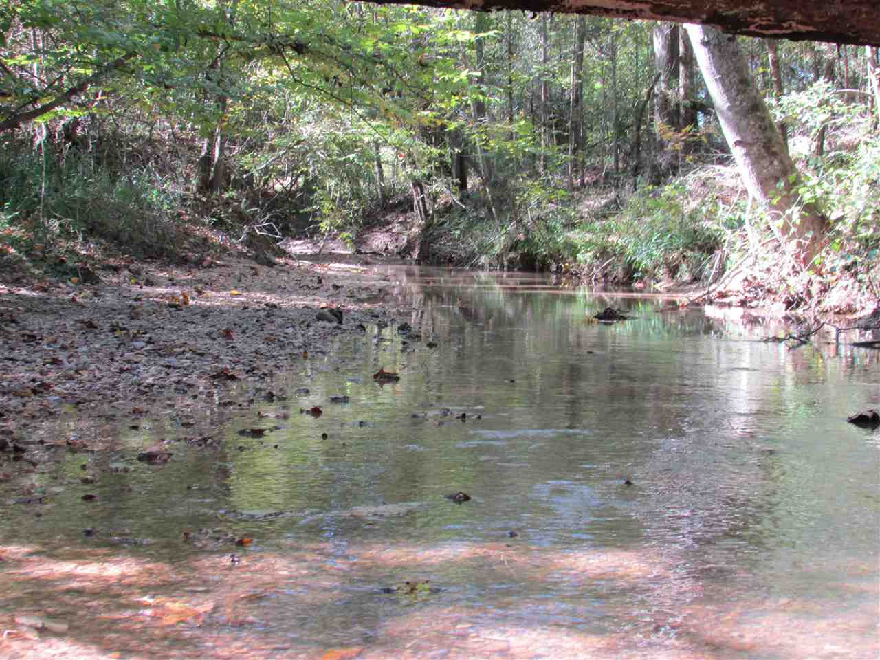 2120 Gatesville Road Crystal Springs, MS 39059 - Photo 14 of 43 Photo 14