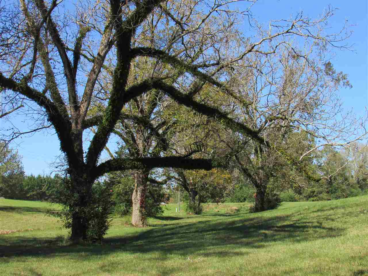 2120 Gatesville Road Crystal Springs, MS 39059 - Photo 41 of 43 Photo 41