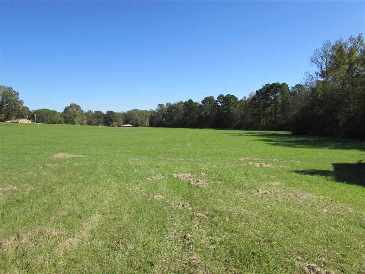 2120 Gatesville Road Crystal Springs, MS 39059 - Photo 7 of 43 Photo 7