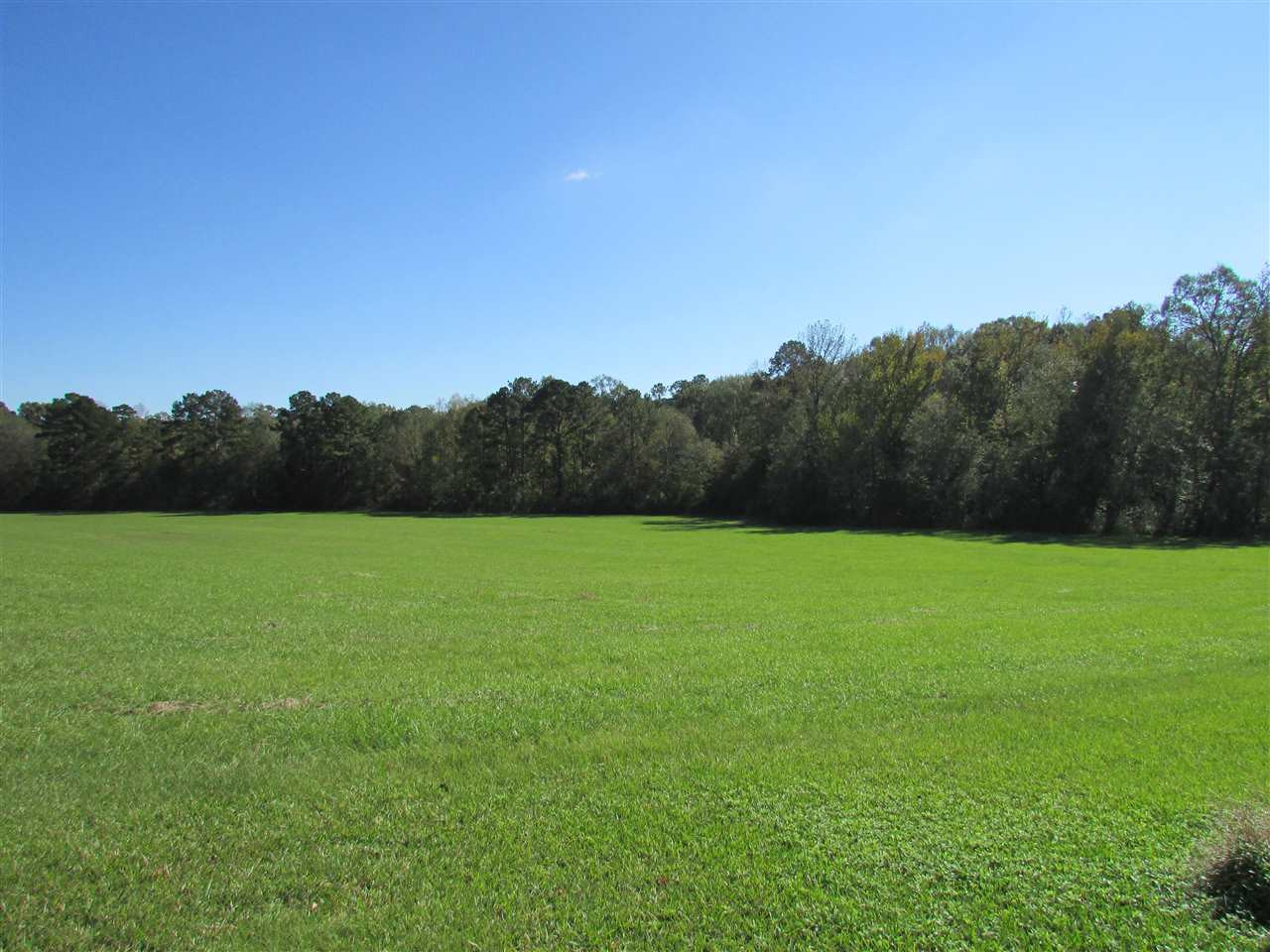 2120 Gatesville Road Crystal Springs, MS 39059 - Photo 8 of 43 Photo 8