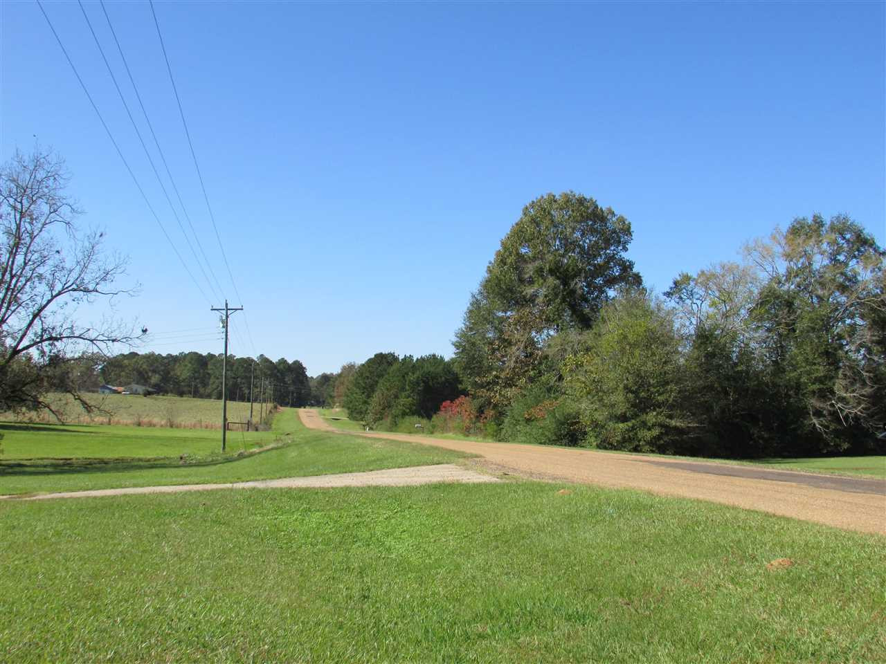2120 Gatesville Road Crystal Springs, MS 39059 - Photo 9 of 43 Photo 9