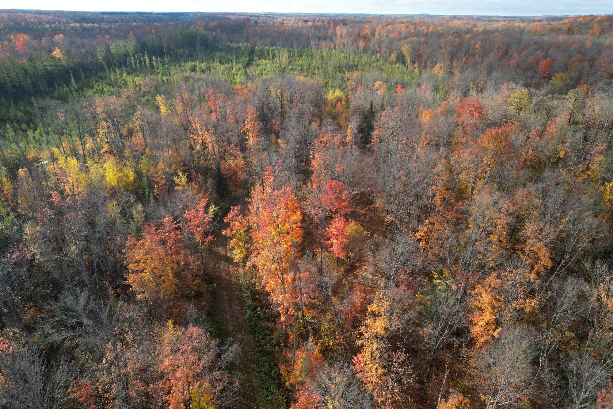 160-on Peeksville Road Butternut, WI 54514 - Photo 18 of 31 Gallery Image 18