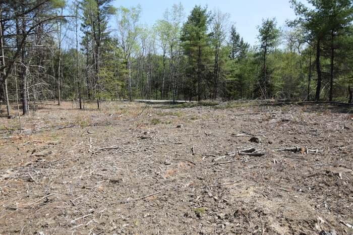 183 South Pond Road Winslow, ME 04901 - Photo 4 of 4 183SPond facing road