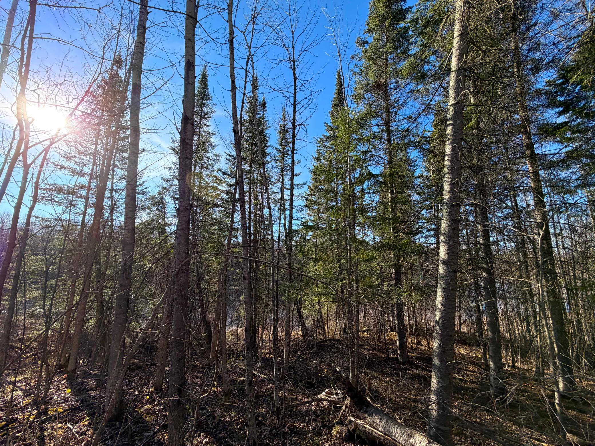 Lot F County Road 79 Littlefork, MN 56653 - Photo 31 of 44