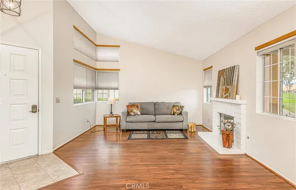 a living room with furniture and a fireplace