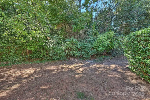 a view of a yard with a trees