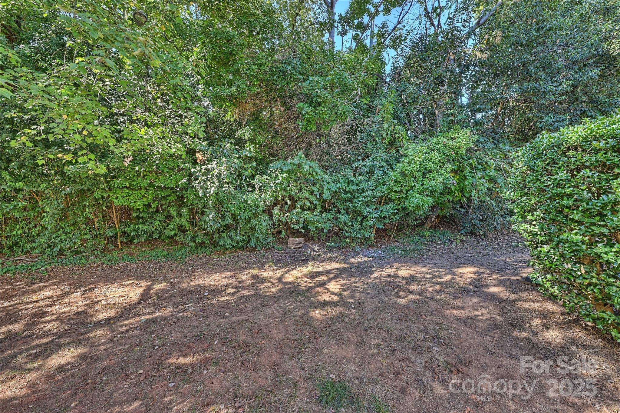 951 Hollywood Street, Unit F Charlotte, NC 28211 - Photo 32 of 42 a view of a yard with a trees