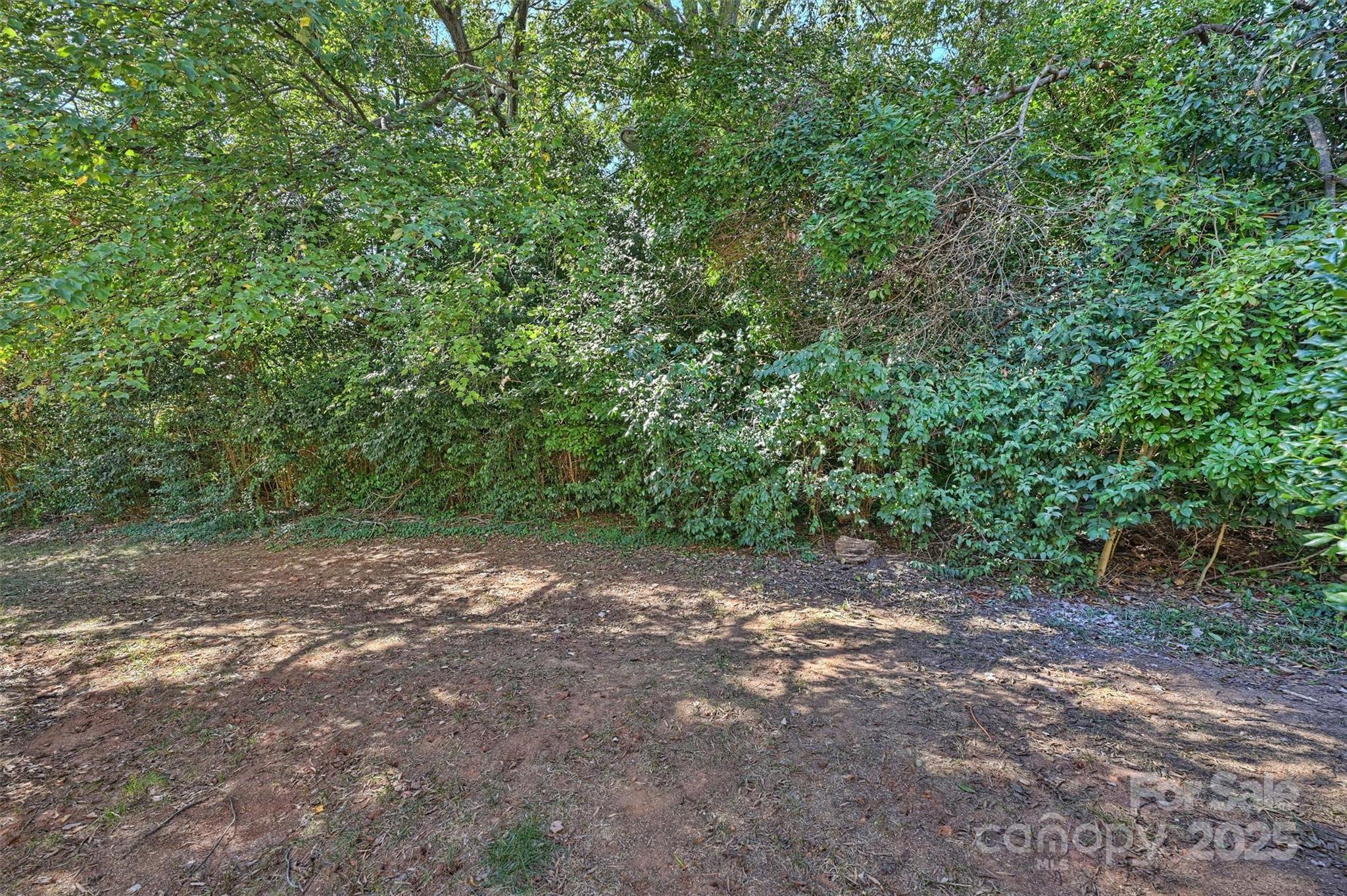 951 Hollywood Street, Unit F Charlotte, NC 28211 - Photo 33 of 42 a view of a yard with large trees