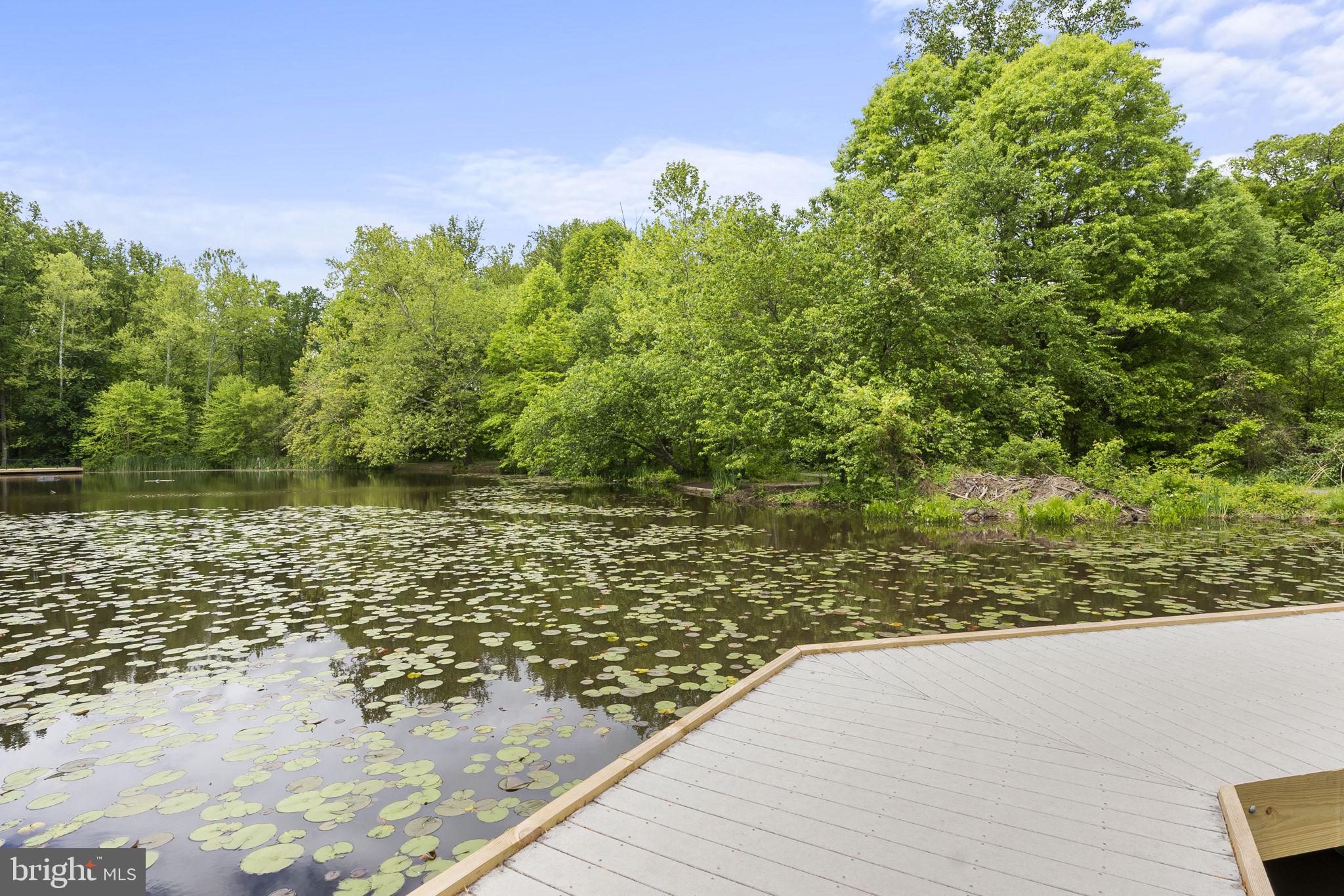 4668 Westfields Boulevard Chantilly, VA 20151 - Photo 27 of 45