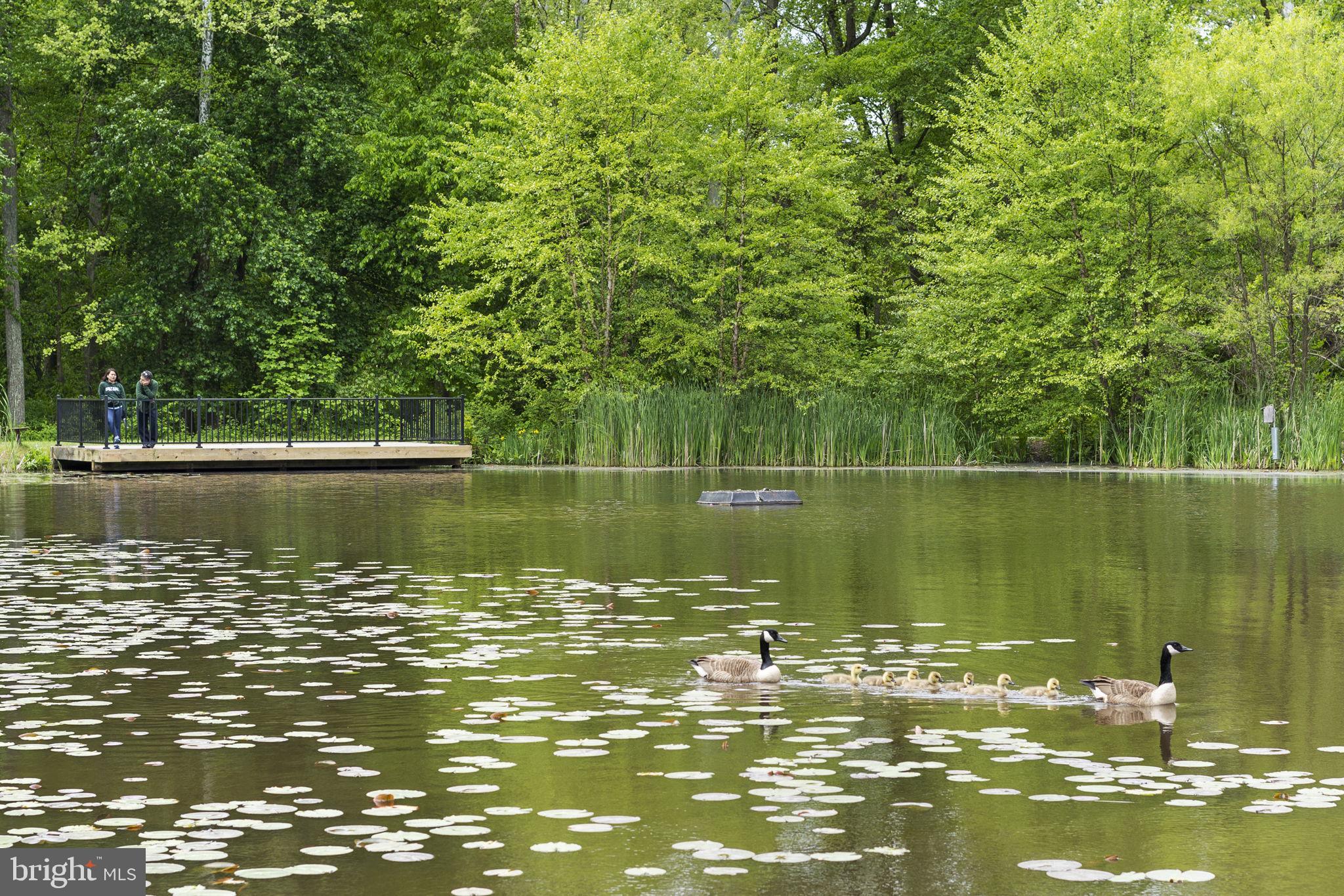 4668 Westfields Boulevard Chantilly, VA 20151 - Photo 33 of 45