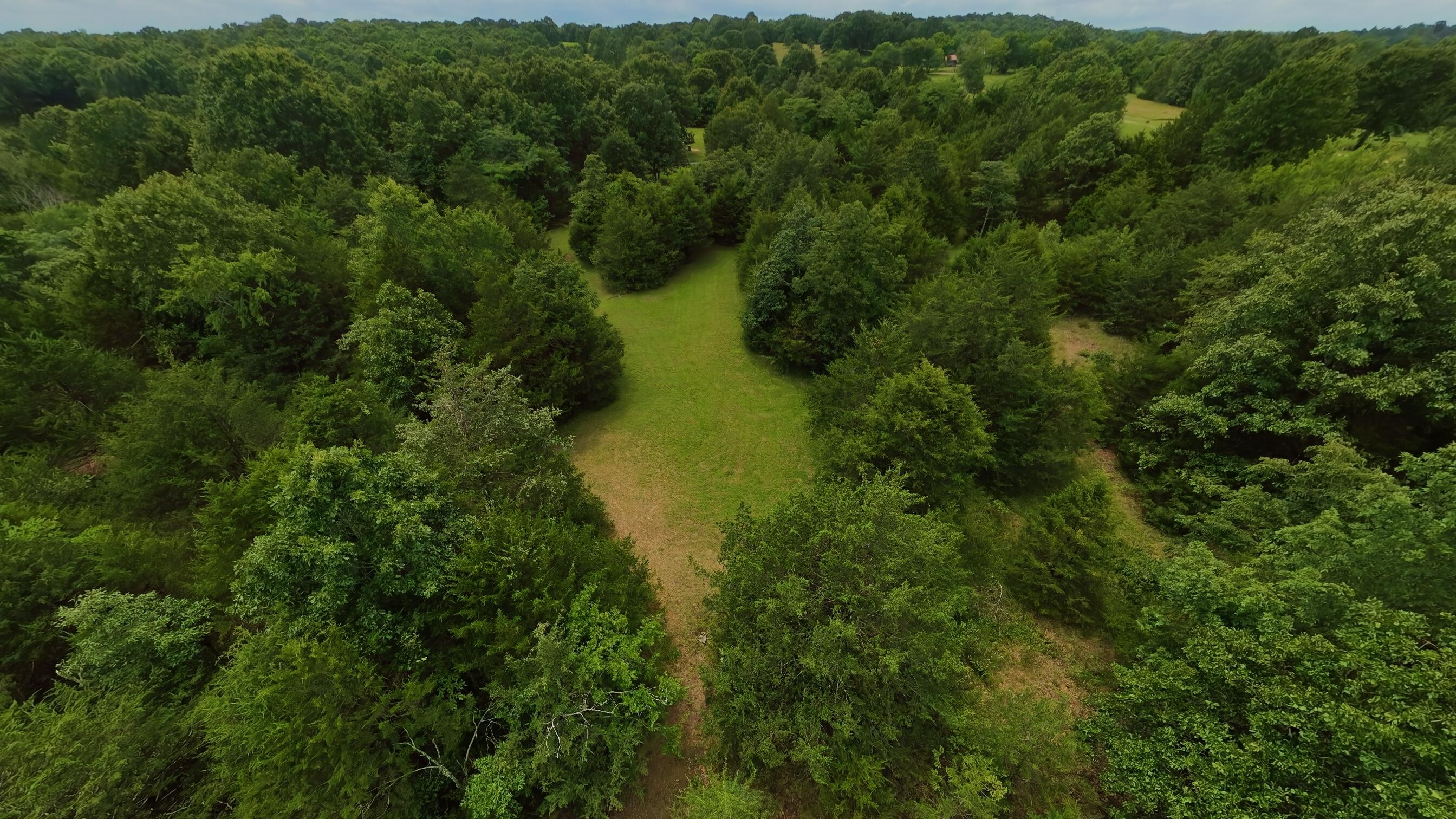3261 North Camp Creek Road Mammoth Spring, AR 72554 - Photo 33 of 38 Home on a 12+ acre hobby farm022