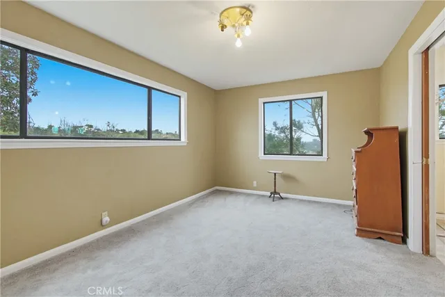 a view of a yard with street