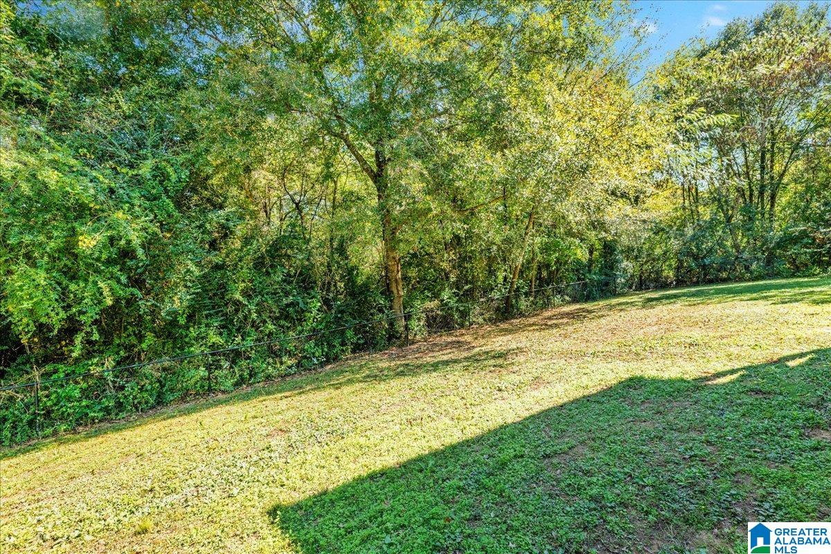 9183 Bill Jones Road Kimberly, AL 35091 - Photo 6 of 26