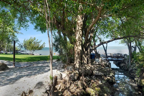 a view of a backyard of a house