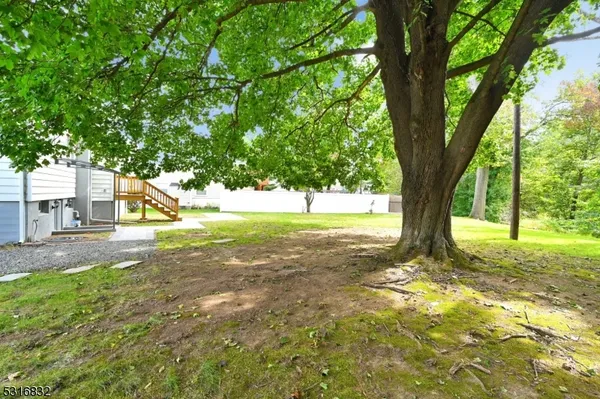 a view of a yard with a tree