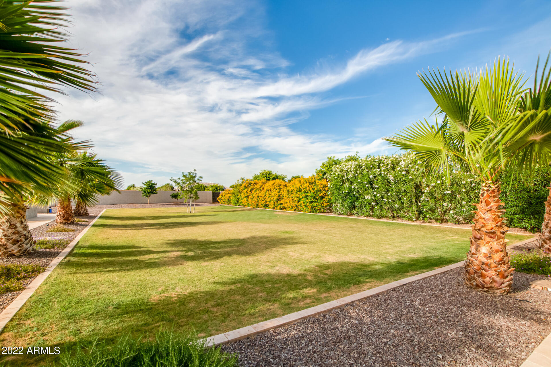 3296 East Vallejo Court Gilbert, AZ 85298 - Photo 122 of 122 Backyard - Grass