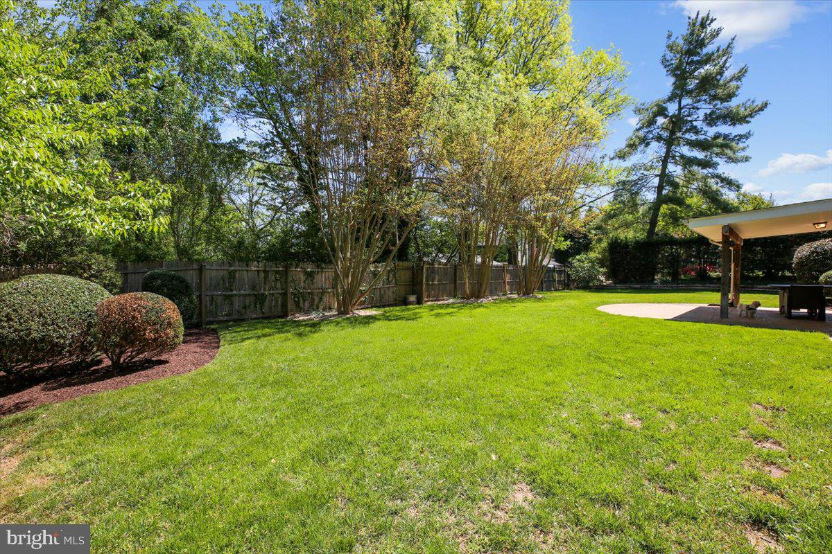 13909 Bethpage Lane Silver Spring, MD 20906 - Photo 29 of 60 Back Yard