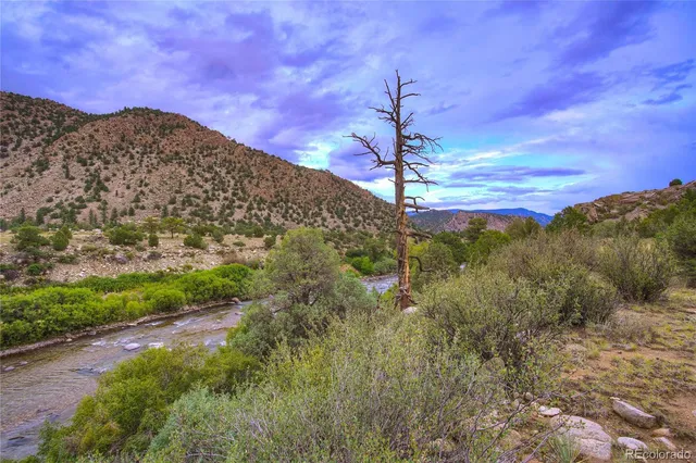 a view of a yard in a field