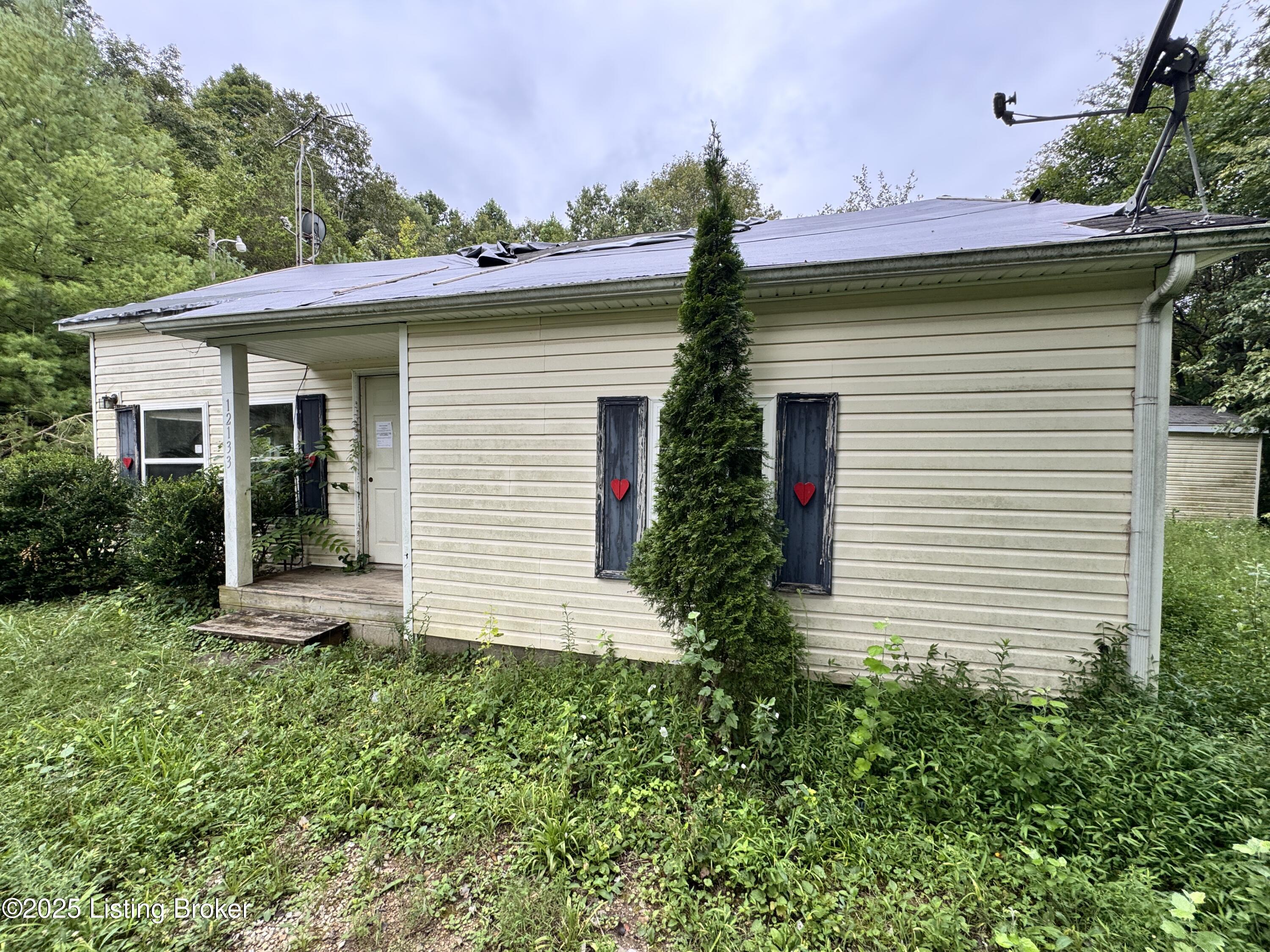 12133 Caneyville Road Caneyville, KY 42721 - Photo 1 of 19 1