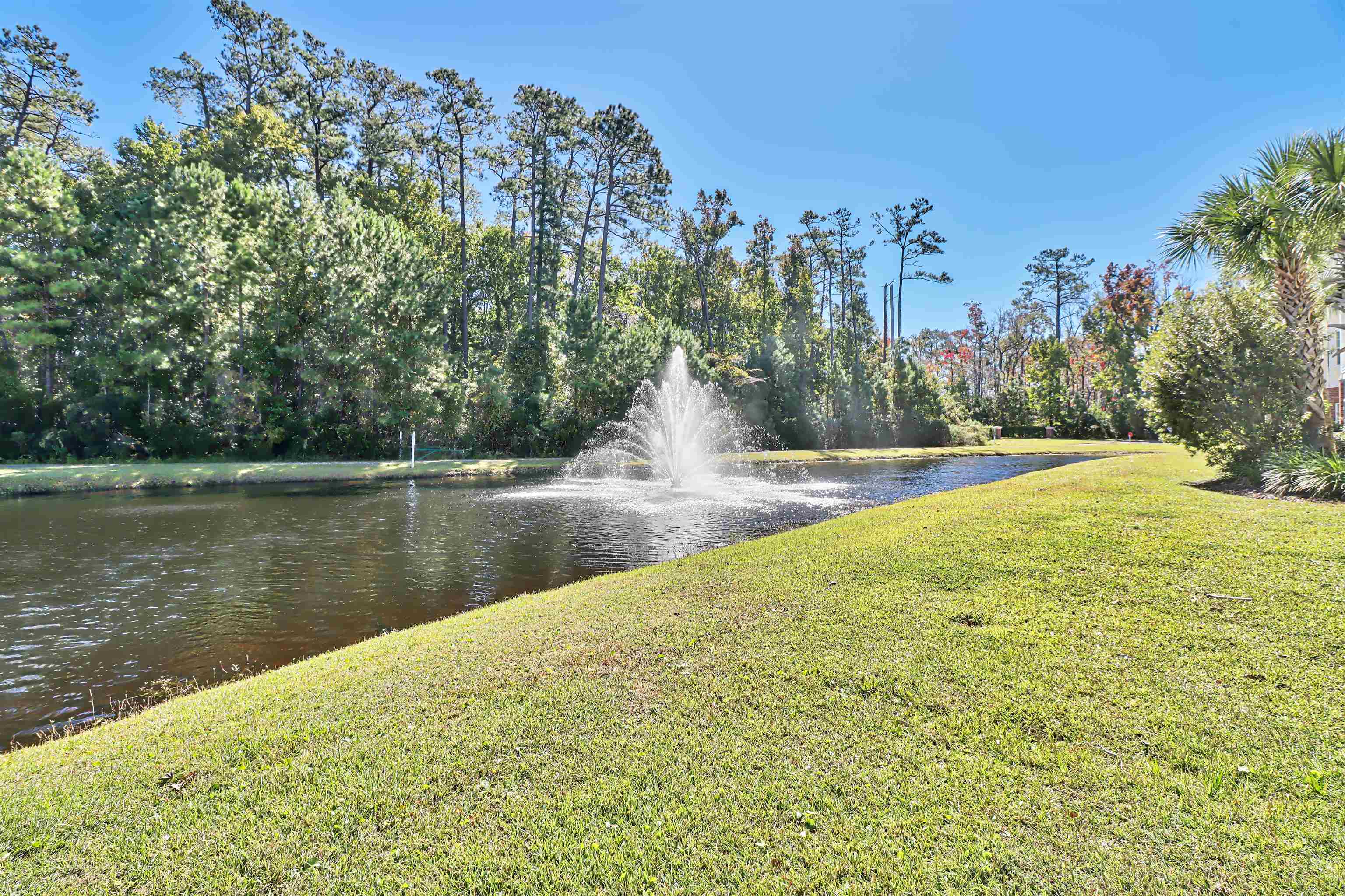 1004 Ray Costin Way, Unit 209 Murrells Inlet, SC 29576 - Photo 28 of 34 Gallery Image 28