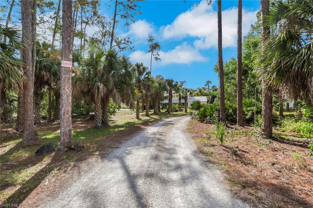 5092 Boxwood Way Naples, FL 34116 - Photo 45 of 48 Home is nicely set back with a long driveway and palm trees along the driveway - You will fall in love the moment you pull up