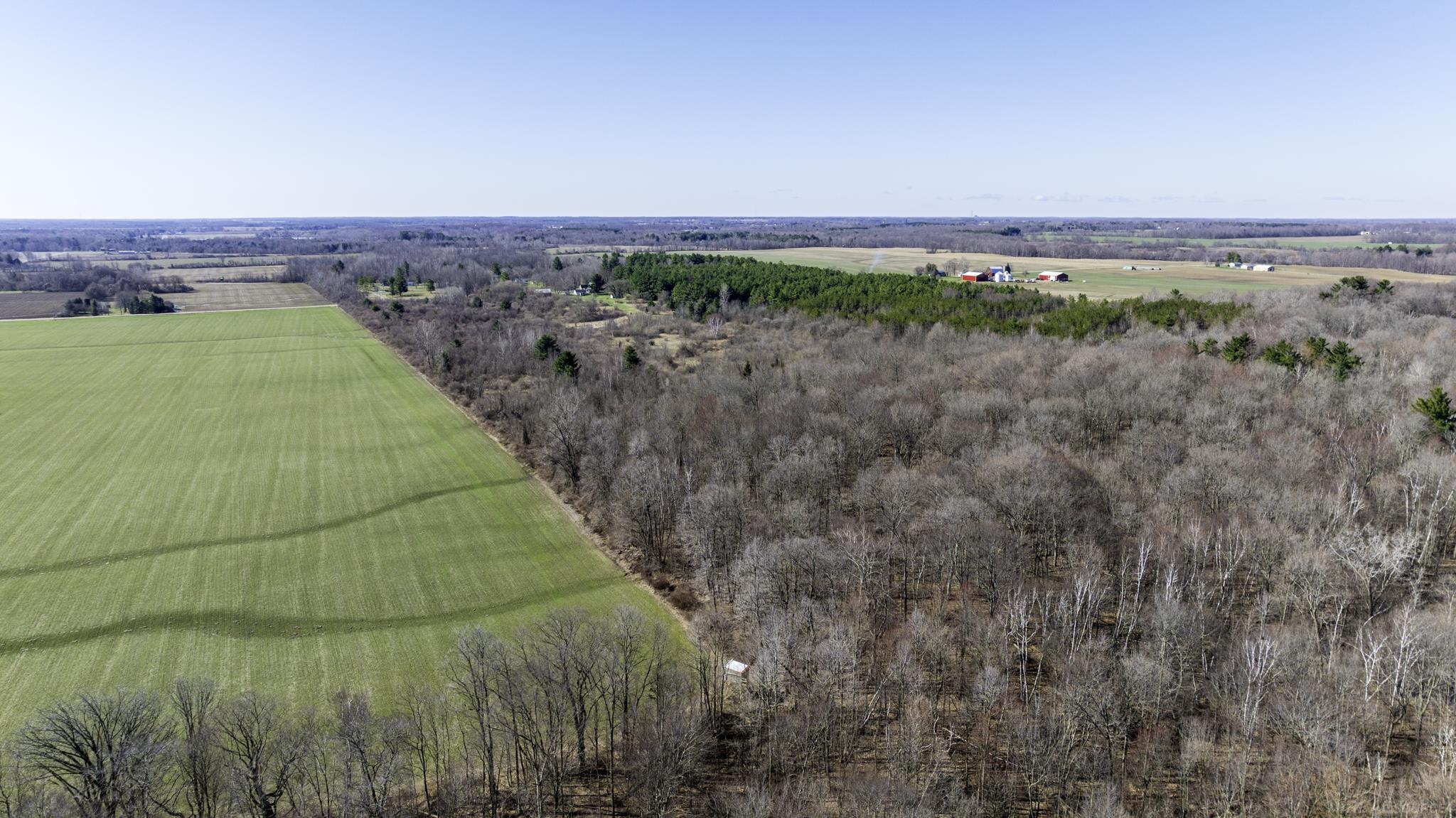 Vl Mortimer Line Road Croswell, MI 48422 - Photo 11 of 11