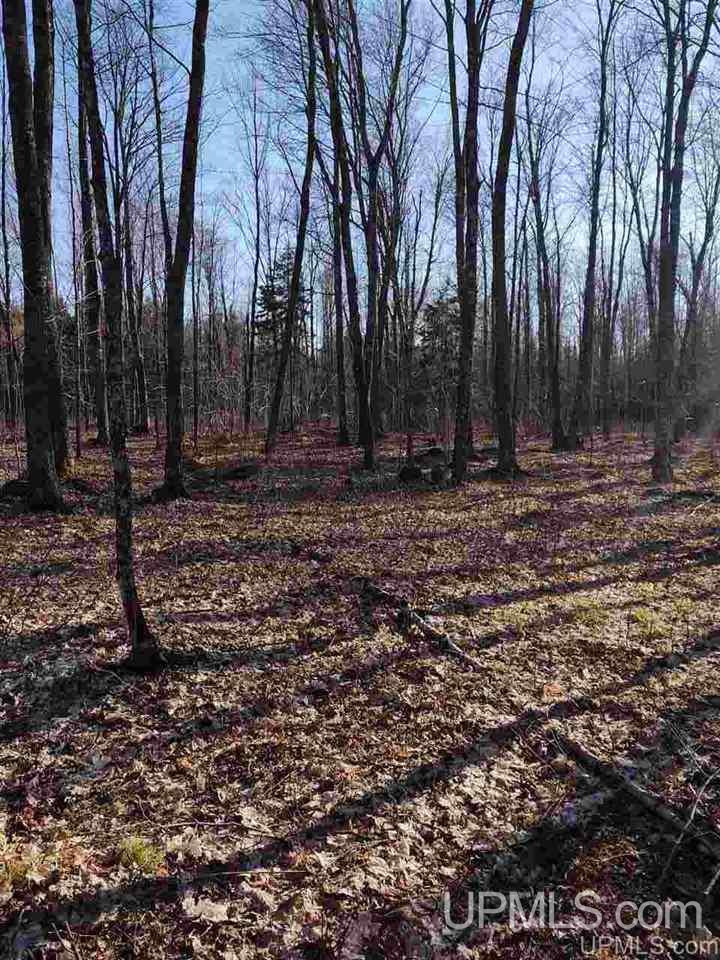 Tbd Sandstone B Road Lake Linden, MI 49945 - Photo 12 of 50