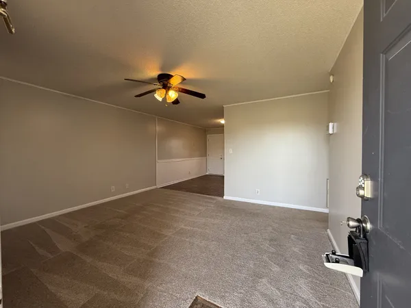 an empty room with a potted plant