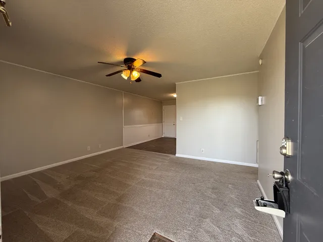 an empty room with a potted plant