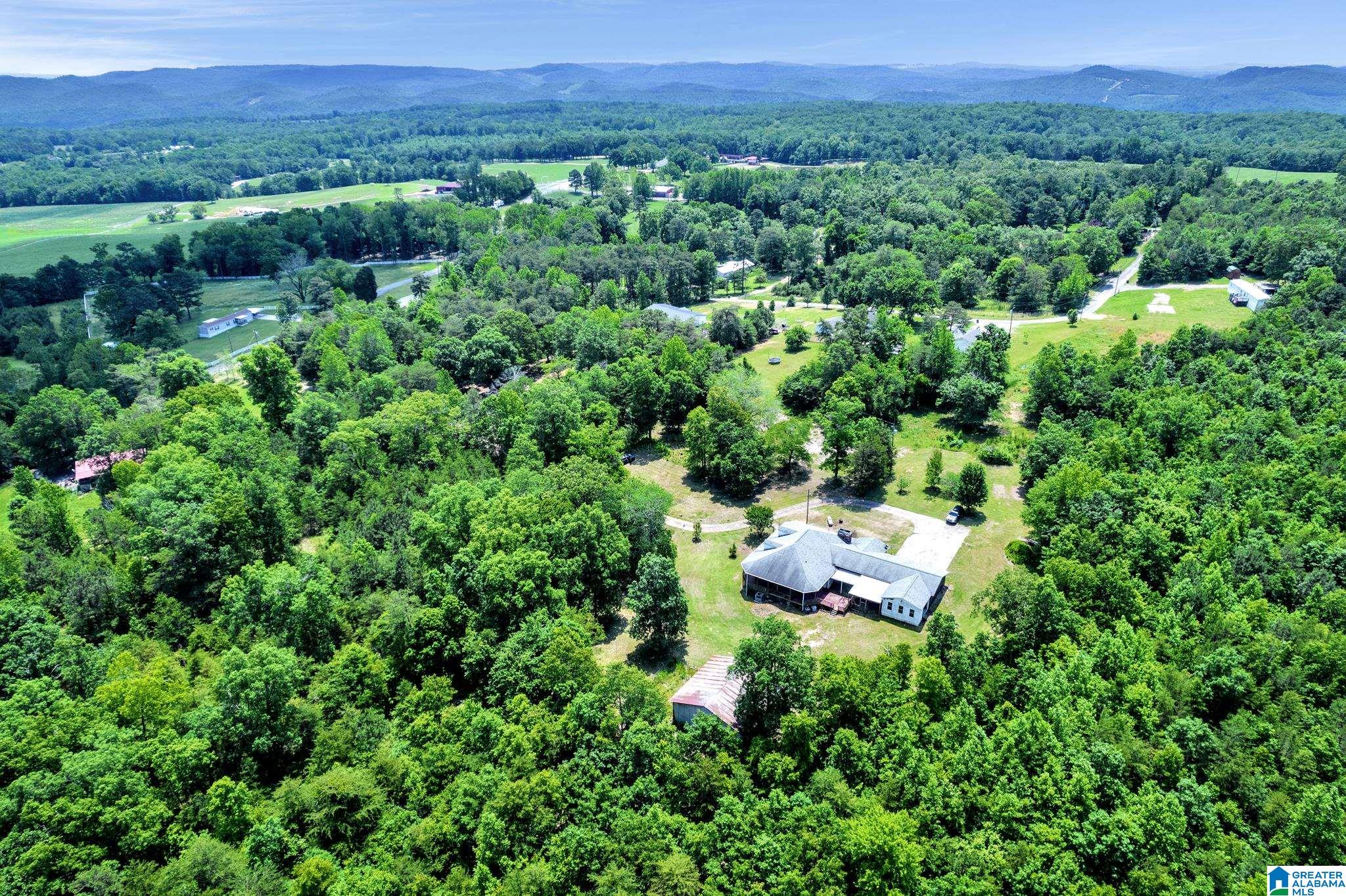 140 Layfield Drive Remlap, AL 35133 - Photo 36 of 44