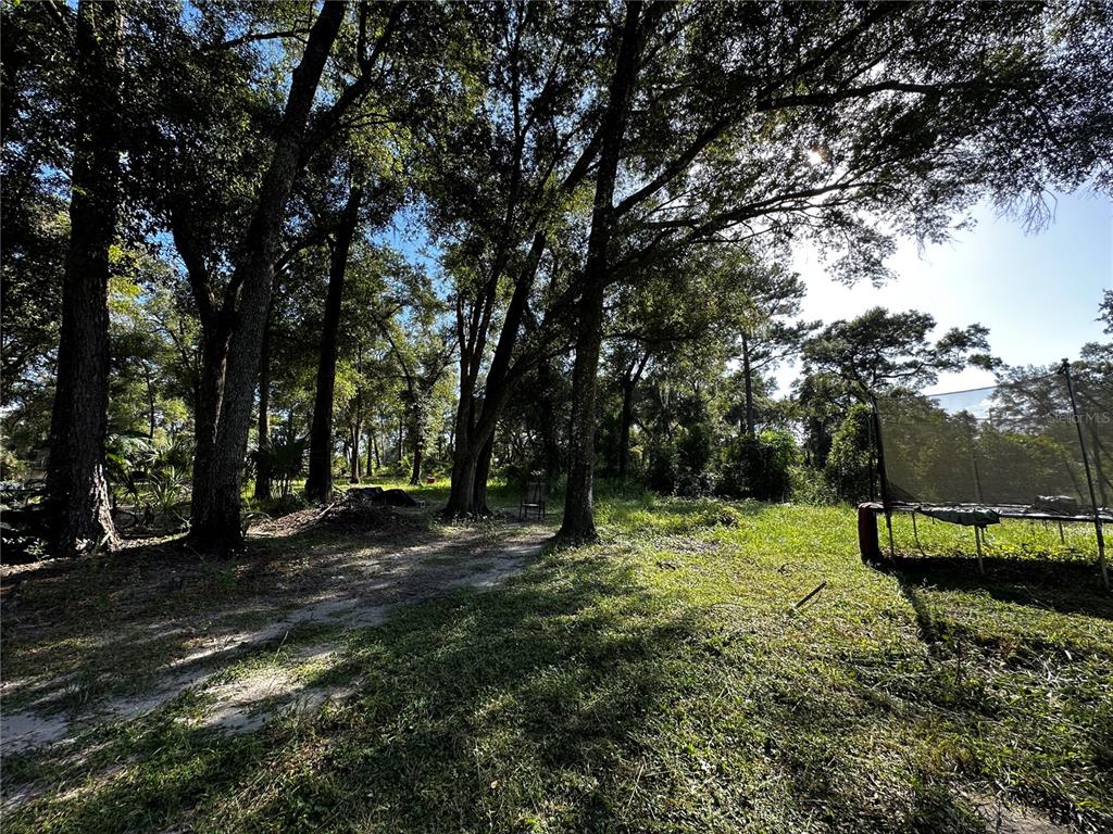 418 North Pine Street Bronson, FL 32621 - Photo 47 of 61 Gallery Image 47