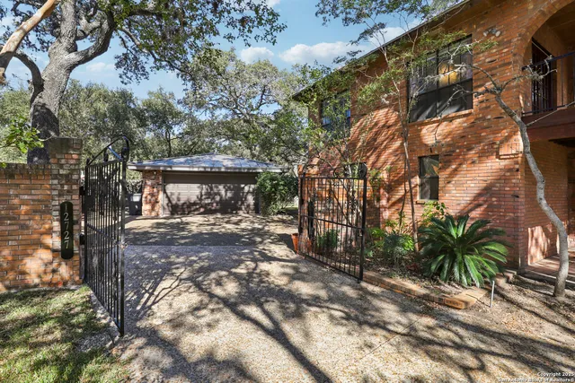 a view of a yard with plants and trees