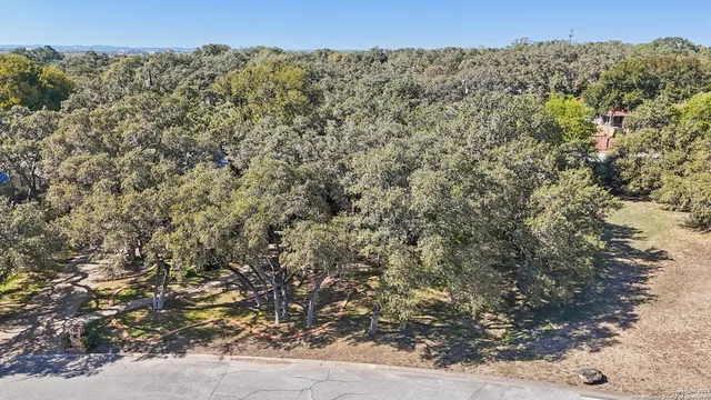 a view of a dry yard with trees in the background