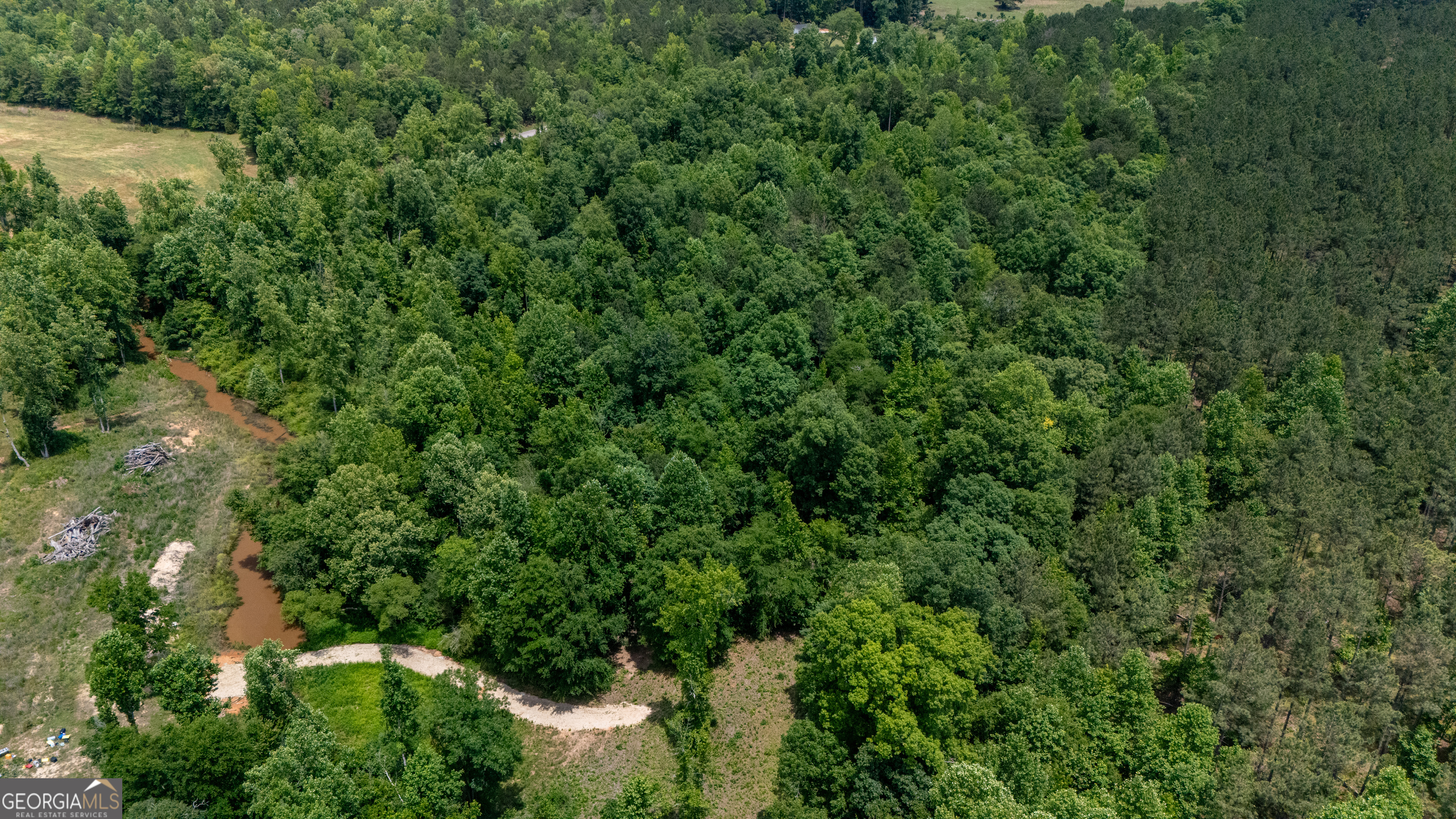 0 Adams Road West Point, GA 31833 - Photo 6 of 9 view of a lush green forest with lots of trees