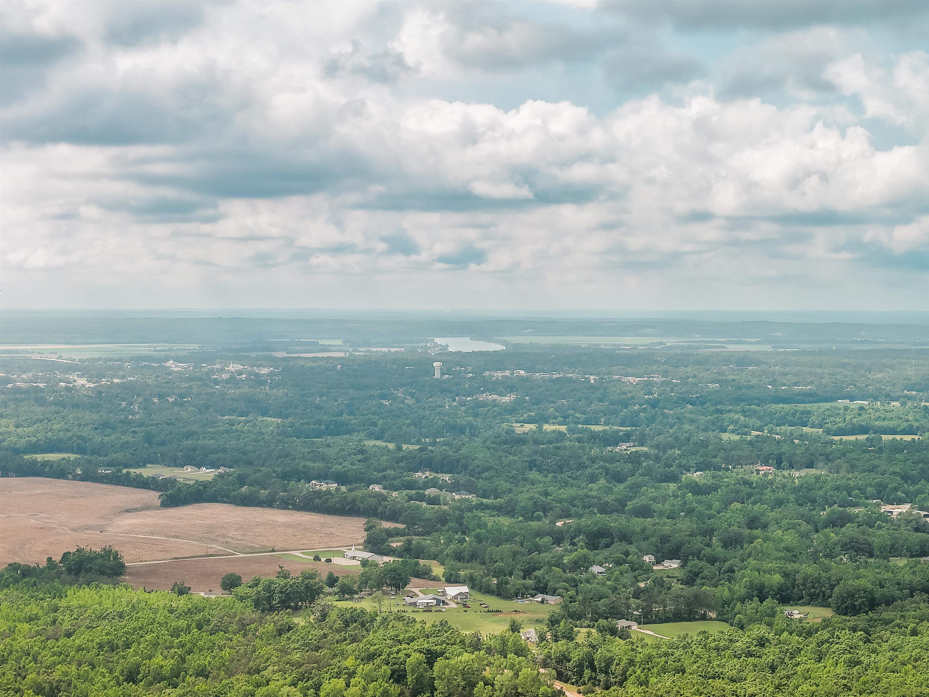890 Burks Road Savannah, TN 38372 - Photo 37 of 40 a view of a big yard with lots of green space