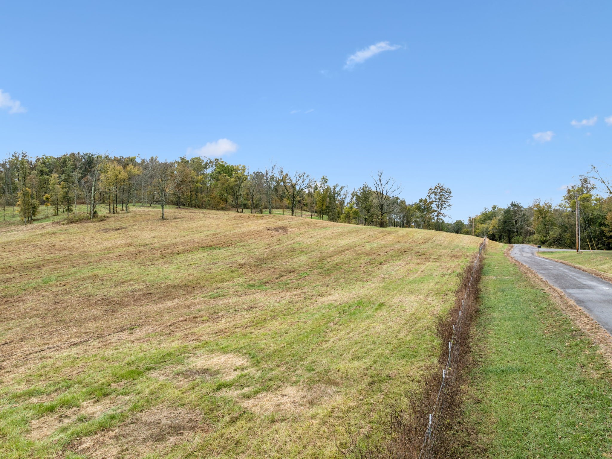 0 Coop Road Bell Buckle, TN 37020 - Photo 3 of 19