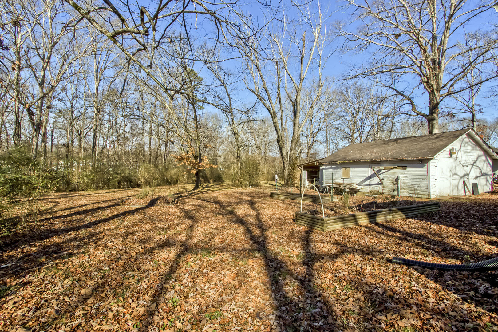 17837 Highway 58 Decatur, TN 37322 - Photo 34 of 35 34_StateHighway_58N_17837_Backyard