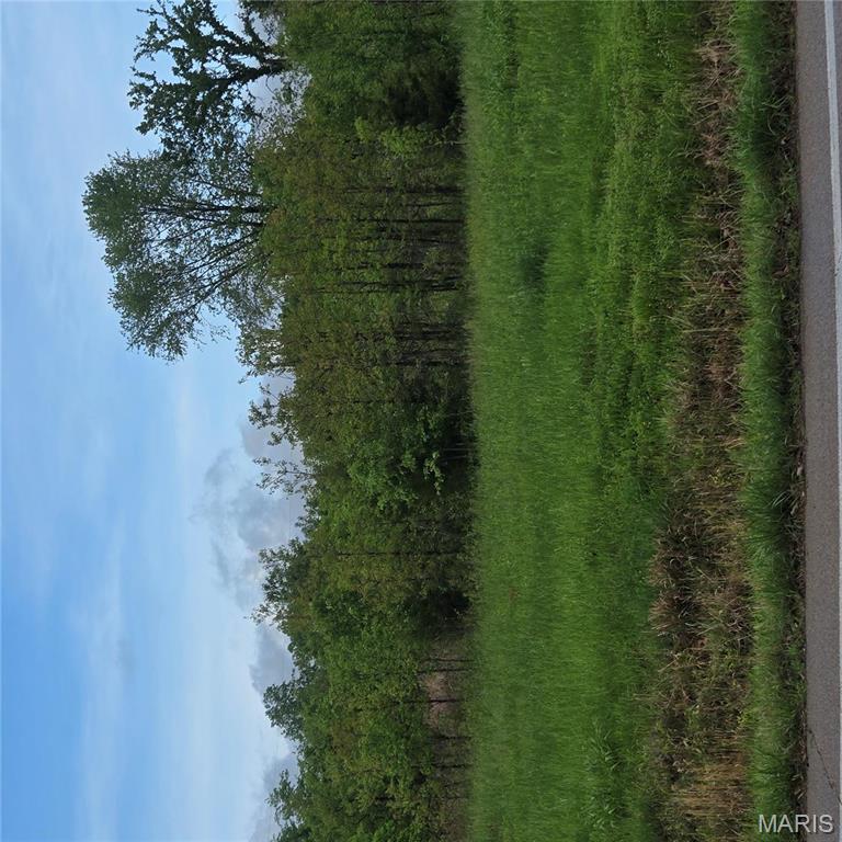 0 State Rte Dd Festus, MO 63028 - Photo 2 of 4