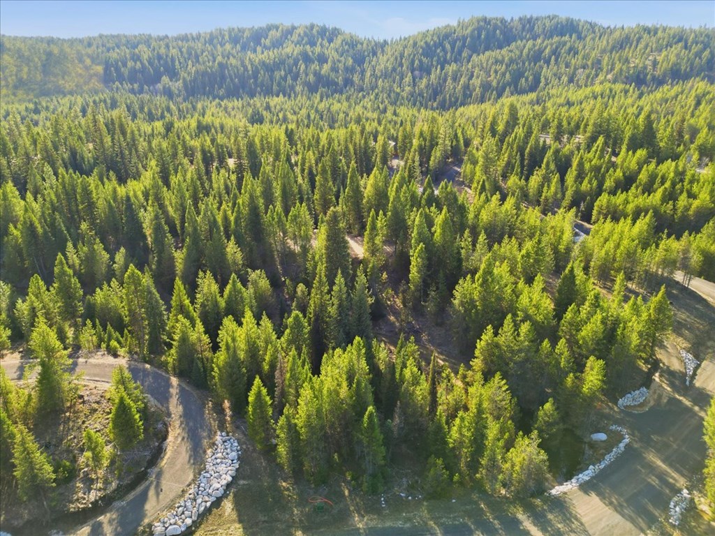 19 Dakota Way Cascade, ID 83611 - Photo 10 of 22