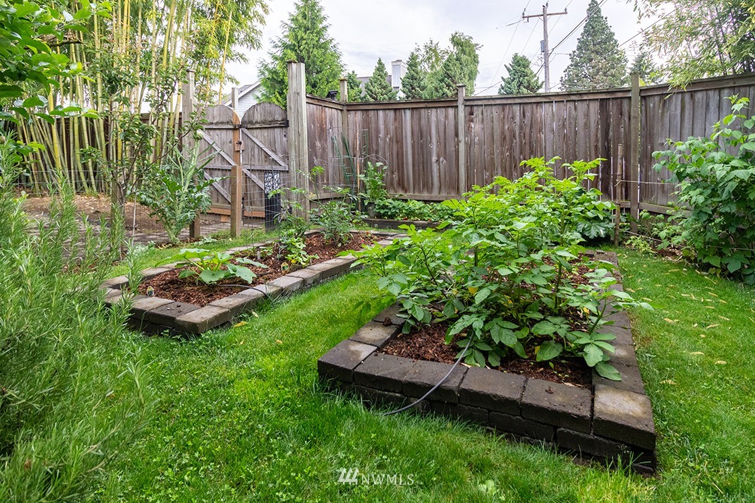 8320 Renton Avenue South Seattle, WA 98118 - Photo 28 of 39 a garden with lots of green space