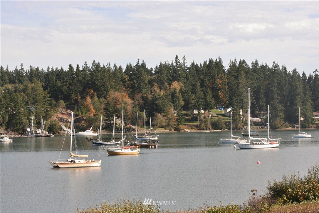 203 Mats View Road Port Ludlow, WA 98365 - Photo 20 of 21 Gallery Image 20
